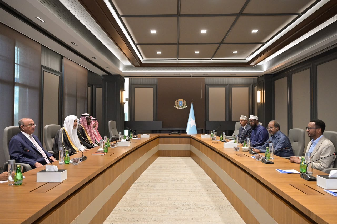 The President of the Federal Republic of Somalia Receives the MWL Secretary-General