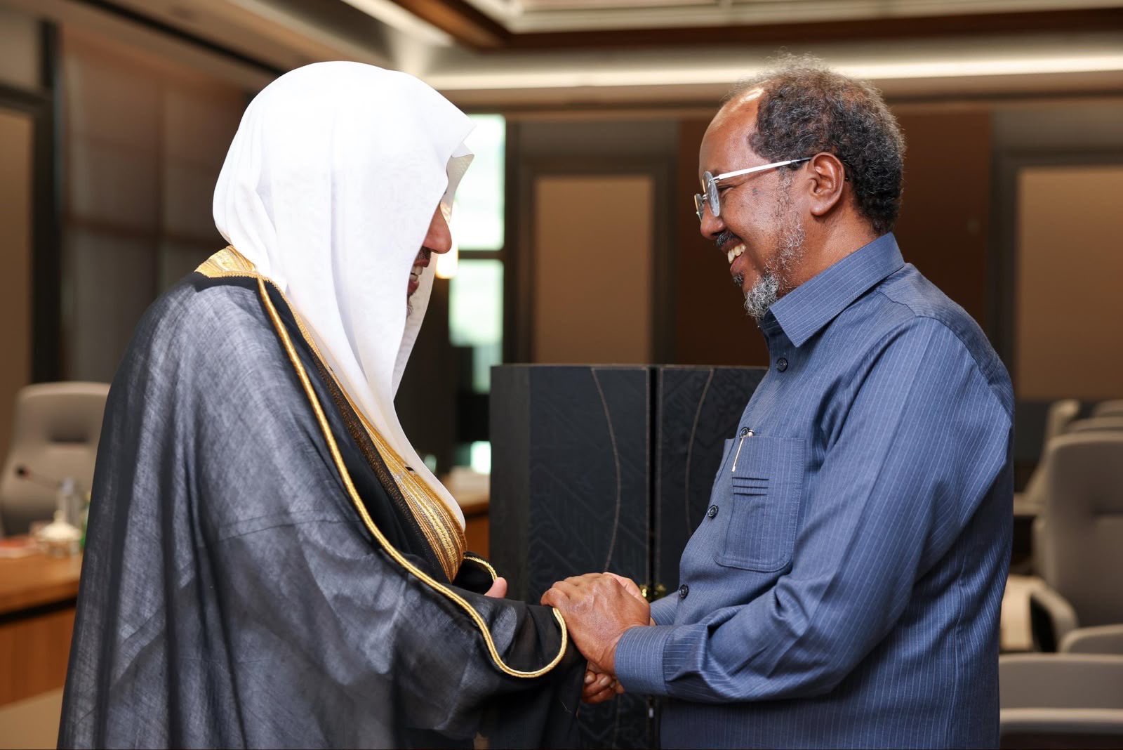 The President of the Federal Republic of Somalia Receives the MWL Secretary-General