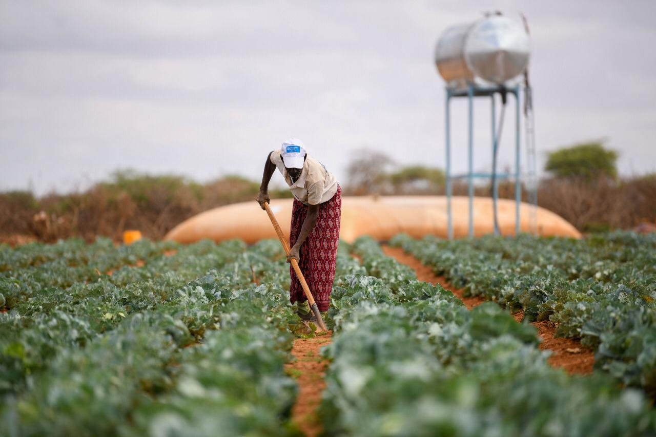 د. العيسى: عملنا في العمق الافريقي يجمع بين الإغاثي والتنموي